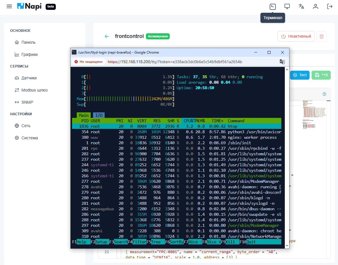 Запуск htop в веб-терминале